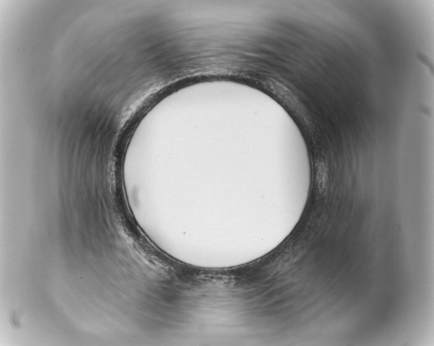 X0000101470676200808041106