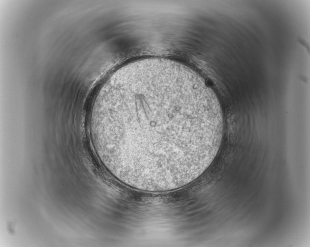 X0000101470679200808041106