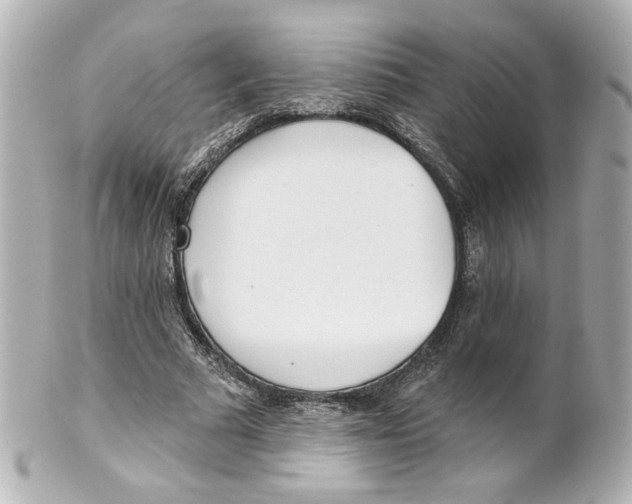 X0000101470681200808041106