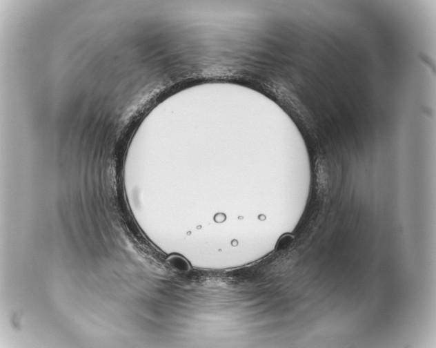 X0000101470684200808041105