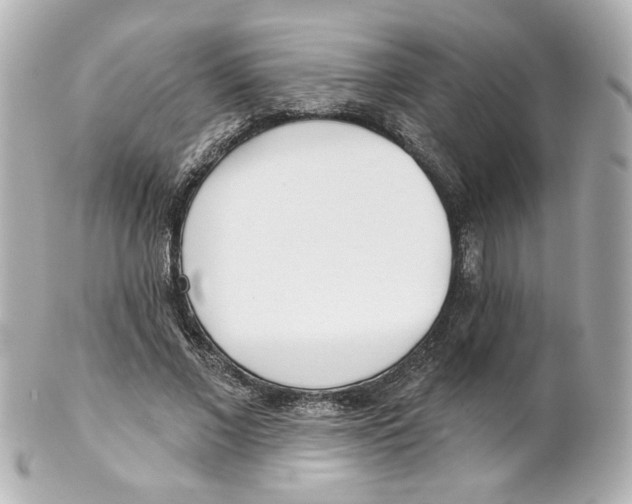 X0000101470685200808041105