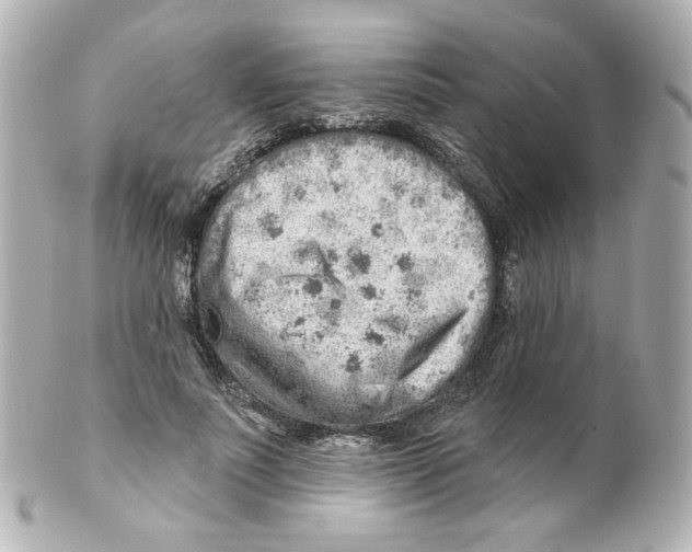 X0000101470691200808041105