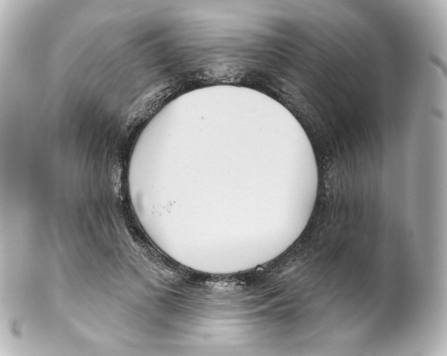 X0000101470693200808041105