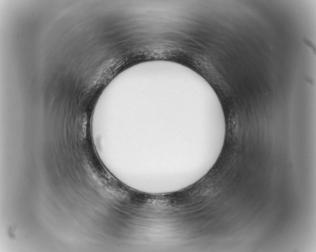 X0000101470694200808041105