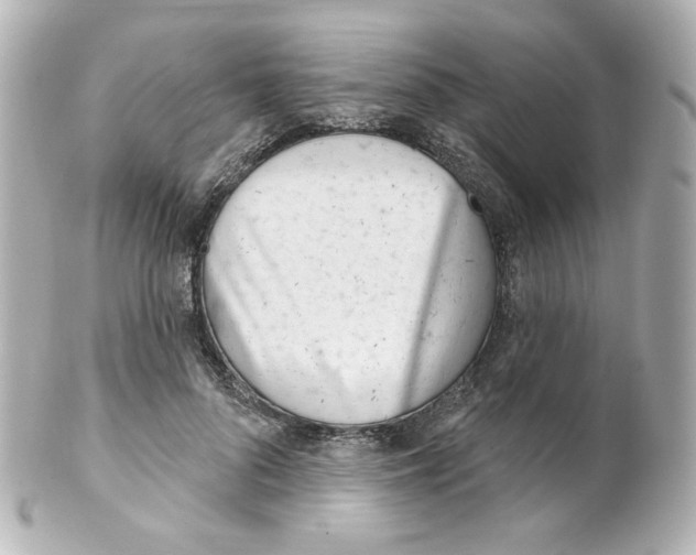 X0000101470696200808041105