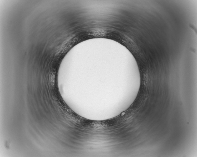 X0000101470697200808041105