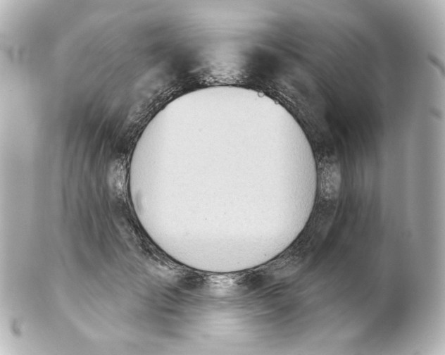 X0000101470701200808041105