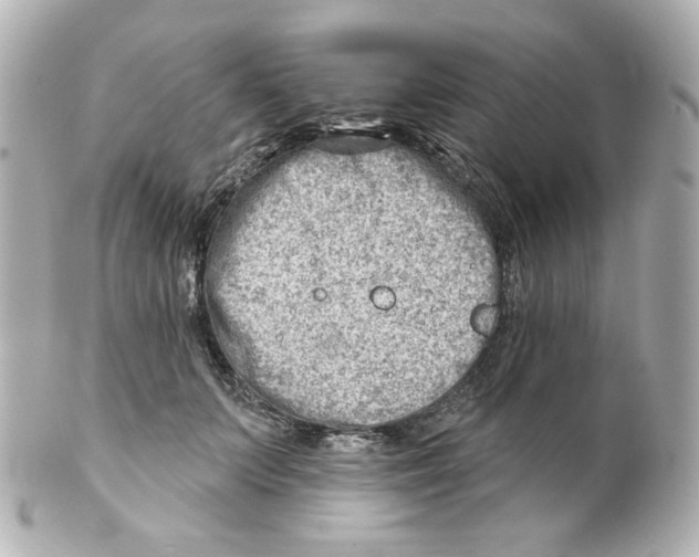 X0000101470703200808041105