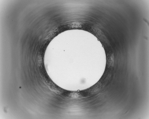 X0000101470704200808041105