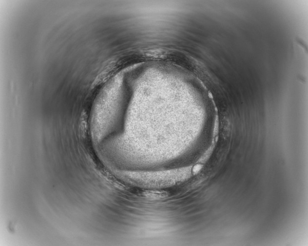 X0000101470707200808041105