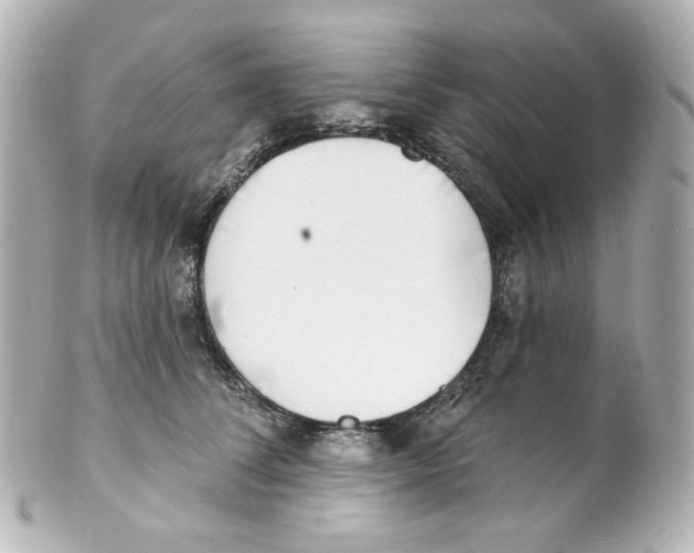 X0000101470708200808041105