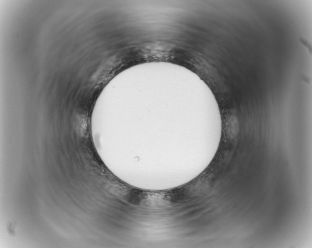 X0000101470709200808041105