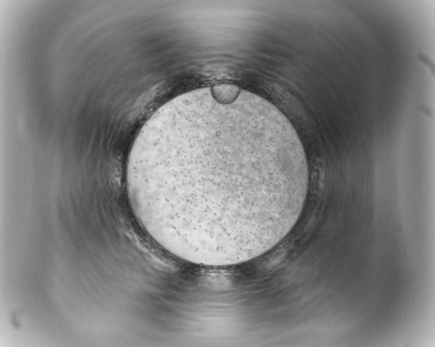 X0000101470710200808041105