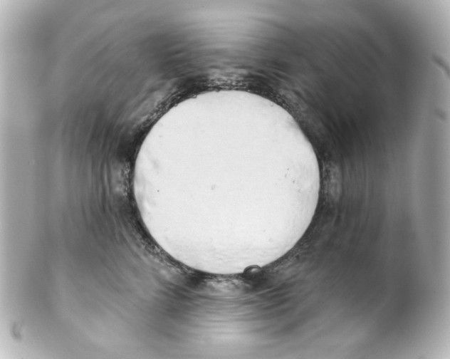 X0000101470712200808041105