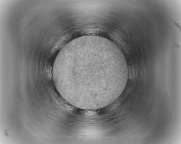 X0000101470718200808041105