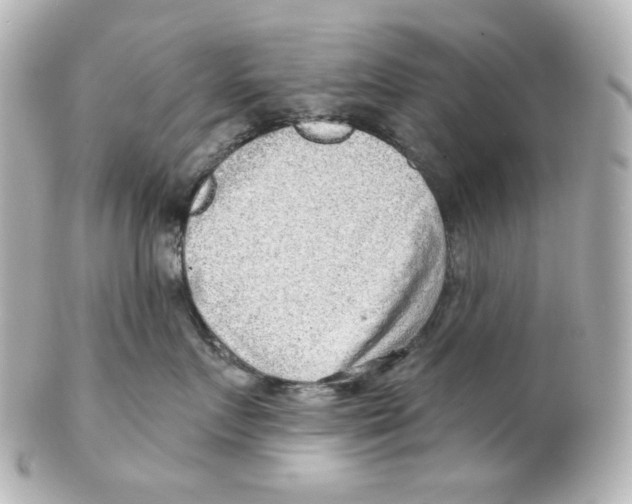 X0000101470719200808041105