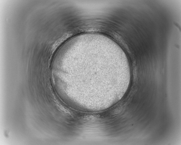 X0000101470721200808041104