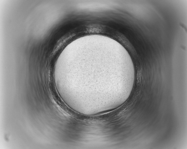 X0000101470722200808041104