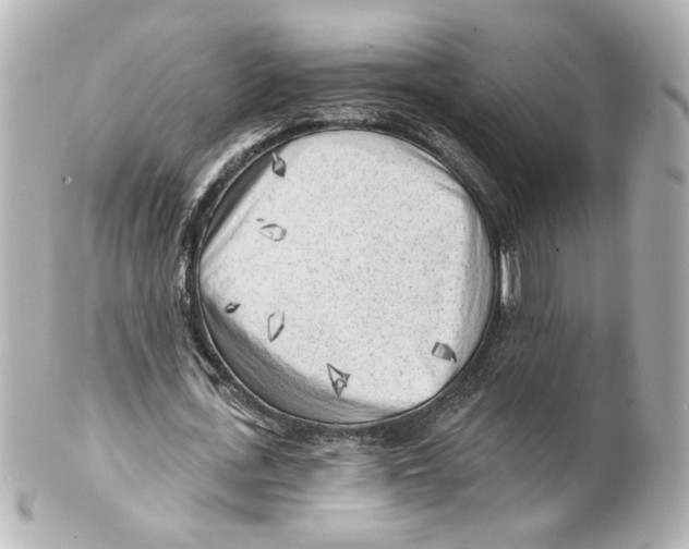 X0000101470723200808041104