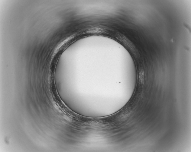 X0000101470724200808041104