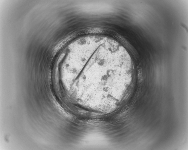 X0000101470725200808041104