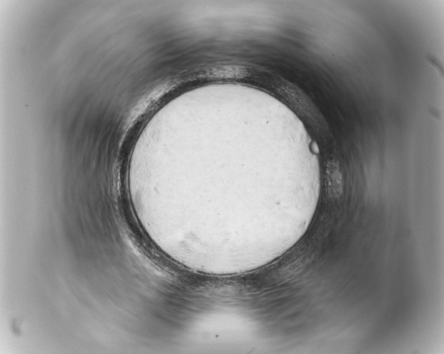 X0000101470726200808041104