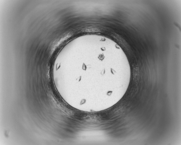 X0000101470727200808041104