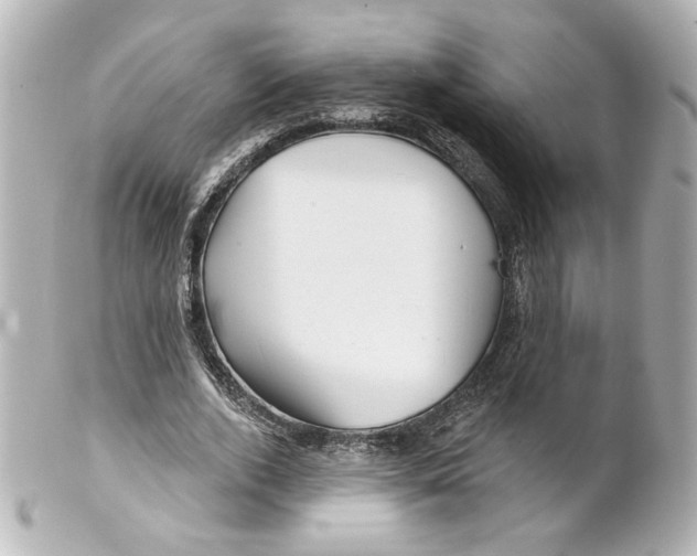 X0000101470728200808041104