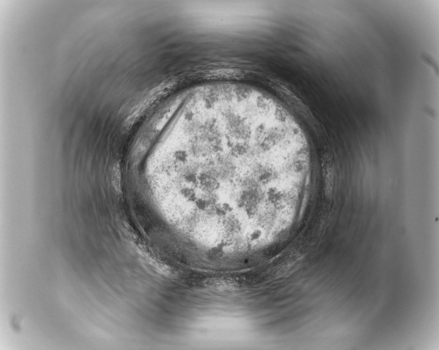 X0000101470729200808041104