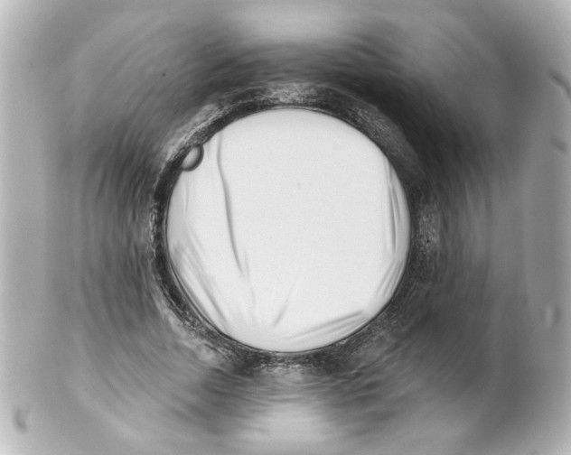 X0000101470730200808041104