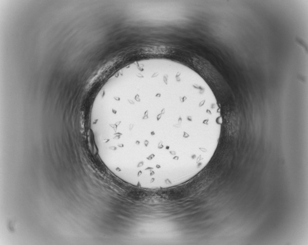 X0000101470731200808041104