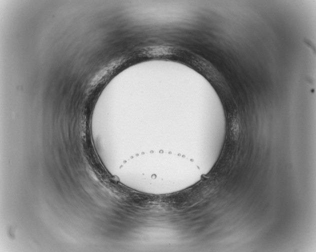 X0000101470732200808041104