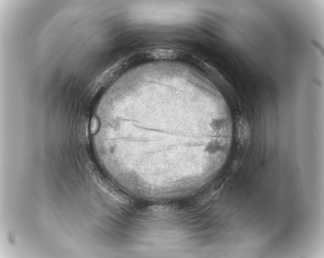 X0000101470733200808041104