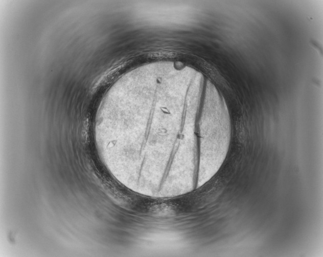 X0000101470735200808041104