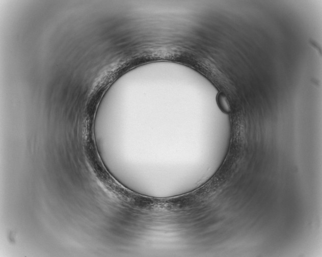 X0000101470736200808041104