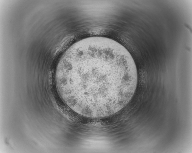 X0000101470738200808041104