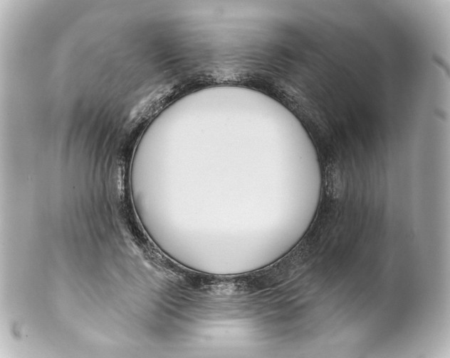 X0000101470740200808041104