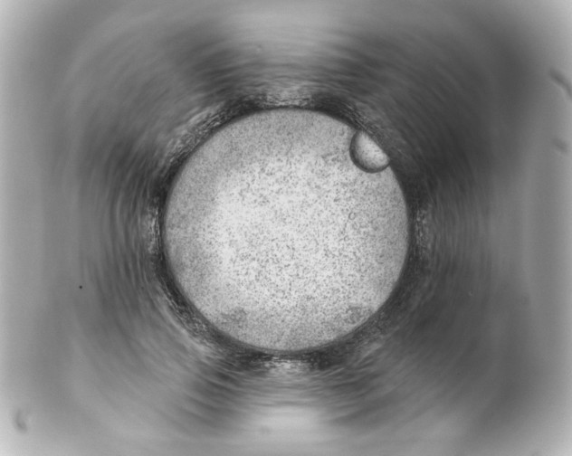 X0000101470741200808041104