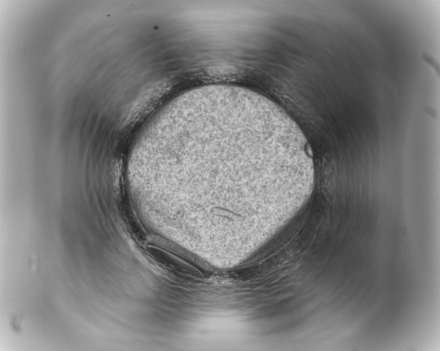 X0000101470742200808041104