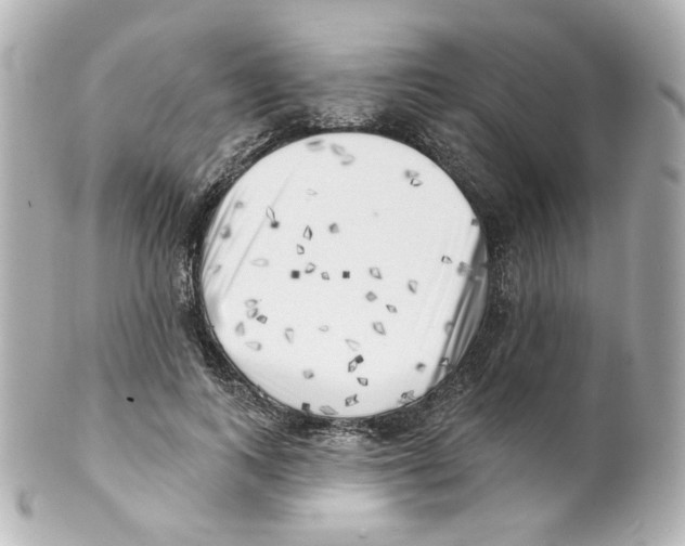 X0000101470743200808041104