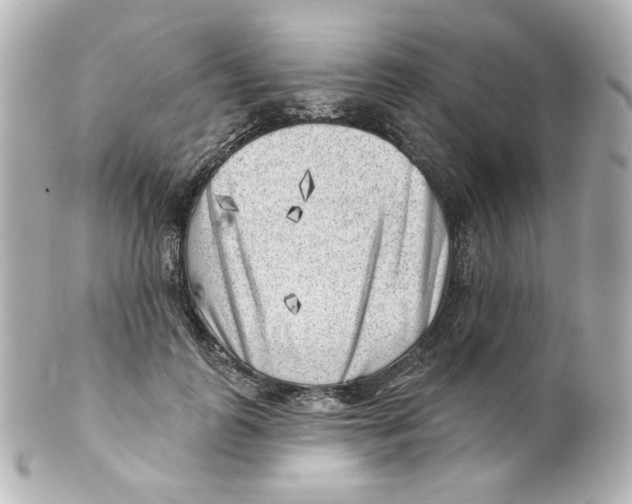 X0000101470747200808041105