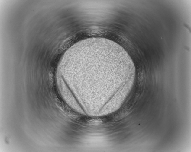 X0000101470749200808041105