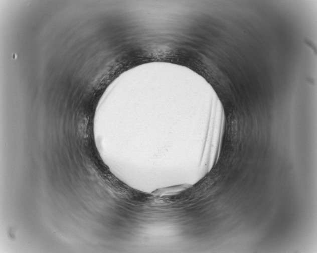 X0000101470750200808041105