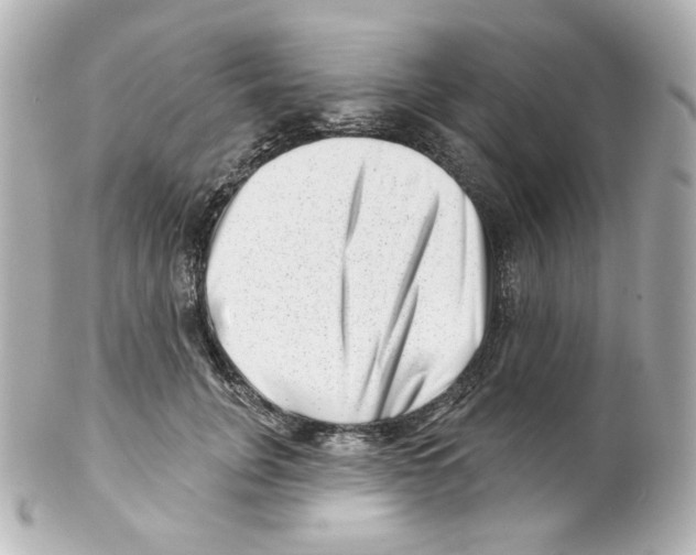 X0000101470751200808041105