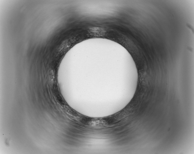 X0000101470752200808041105