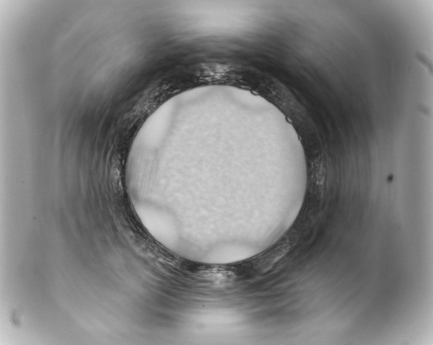 X0000101470754200808041105