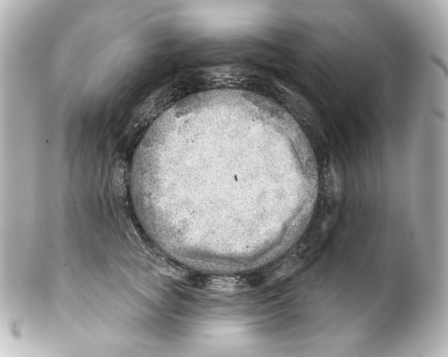 X0000101470757200808041105