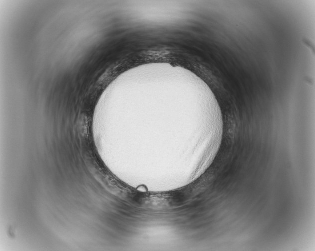 X0000101470758200808041105