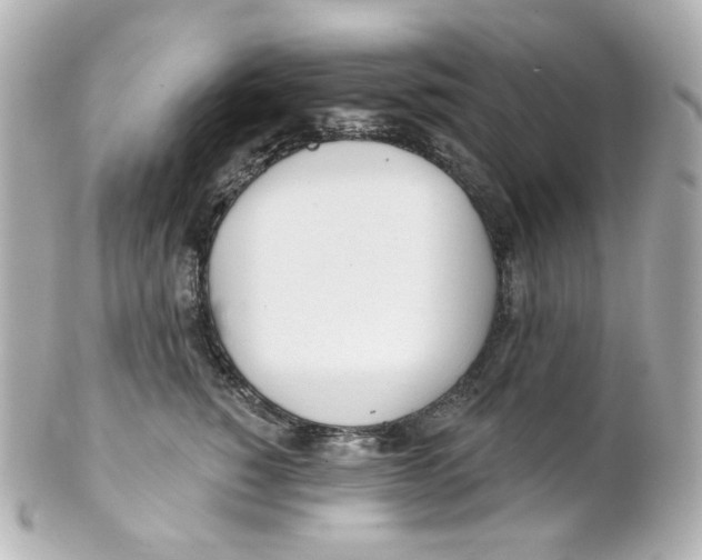 X0000101470760200808041105