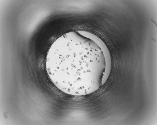 X0000101470762200808041105